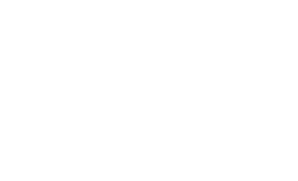 Phone House